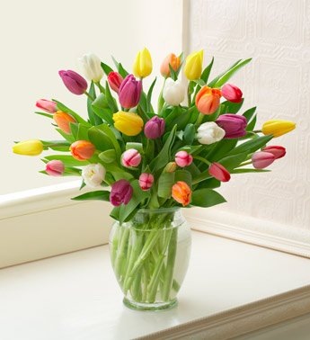 №37, Таня Кузнєцова, Ровно №37, Таня Кузнєцова, Ровно