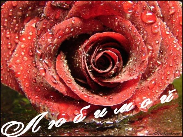 Діма Ахмедов Dim$on | Луцк