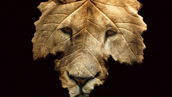 №69, Александр Король, 32 года, Гродно №69, Александр Король, 32 года, Гродно