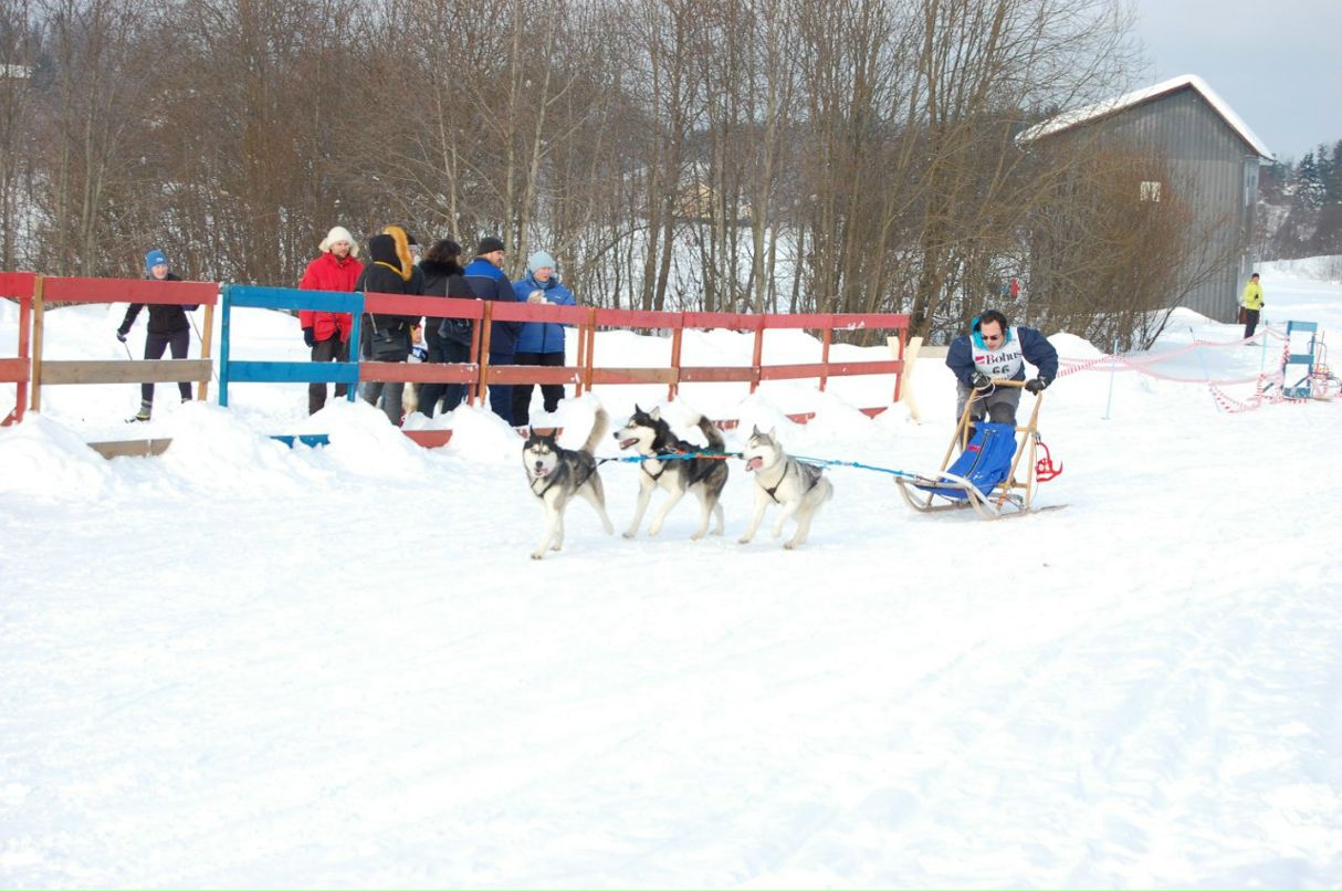 Алёна Шатских | Санкт-Петербург