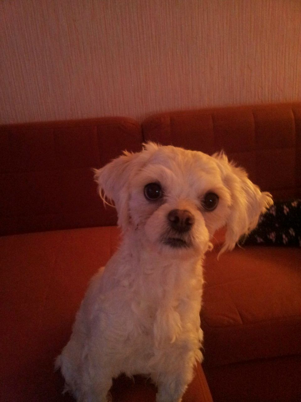 Сергей Павлов | Санкт-Петербург