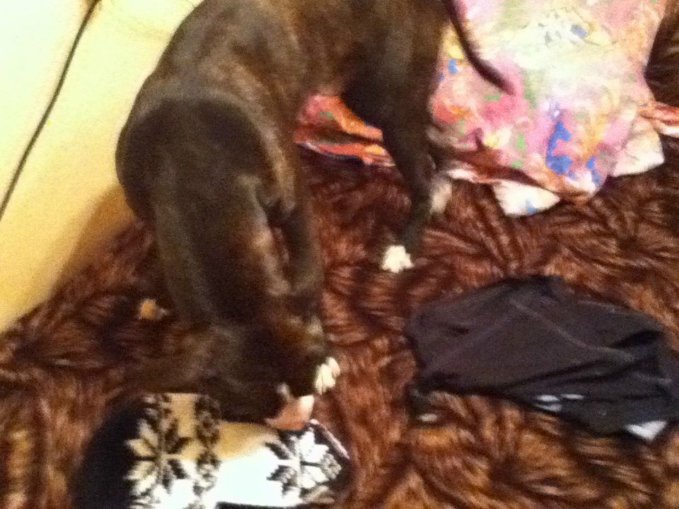 Kat Kan пил и пил | Санкт-Петербург