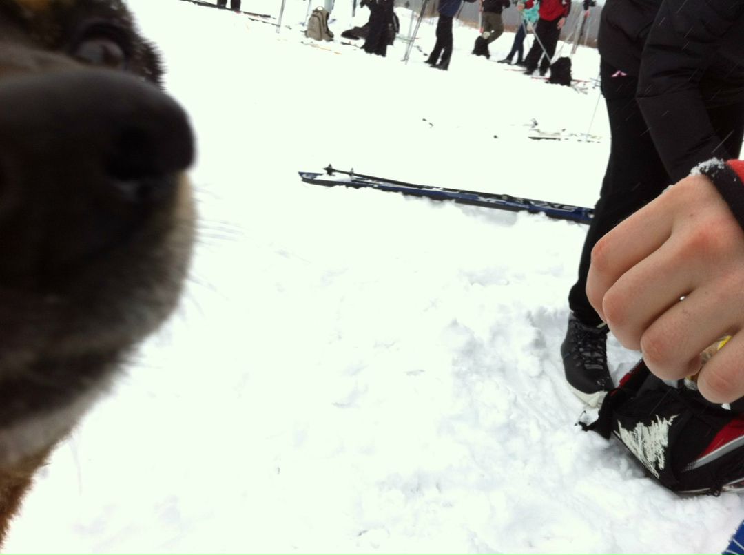 Ярослав Ягель | Санкт-Петербург