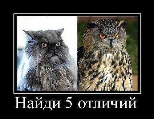 Сергей Иванов | Краснодар