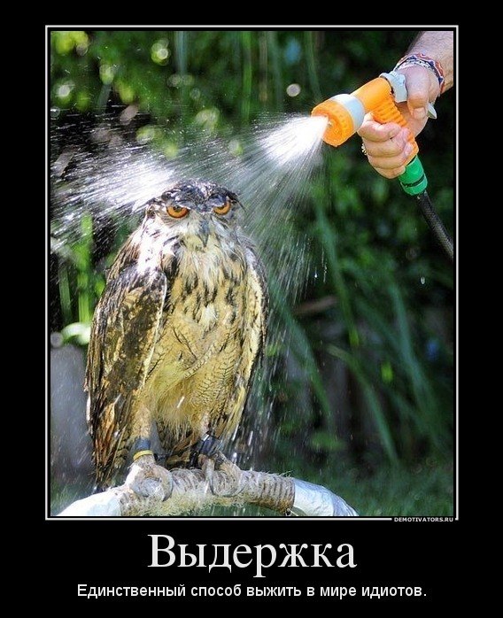 Максим Плитень Angelicus DARK | 