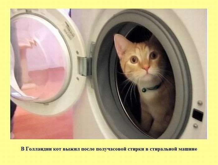 Олег Кравец Александрович | 