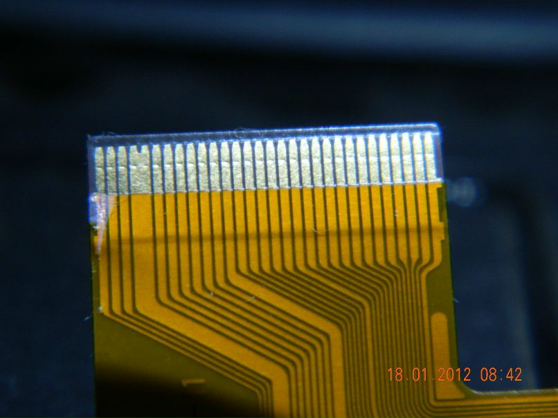 Сергей Скутте | Санкт-Петербург