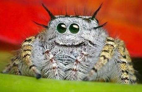 Григорий Балашов Zatvornick | Ковров