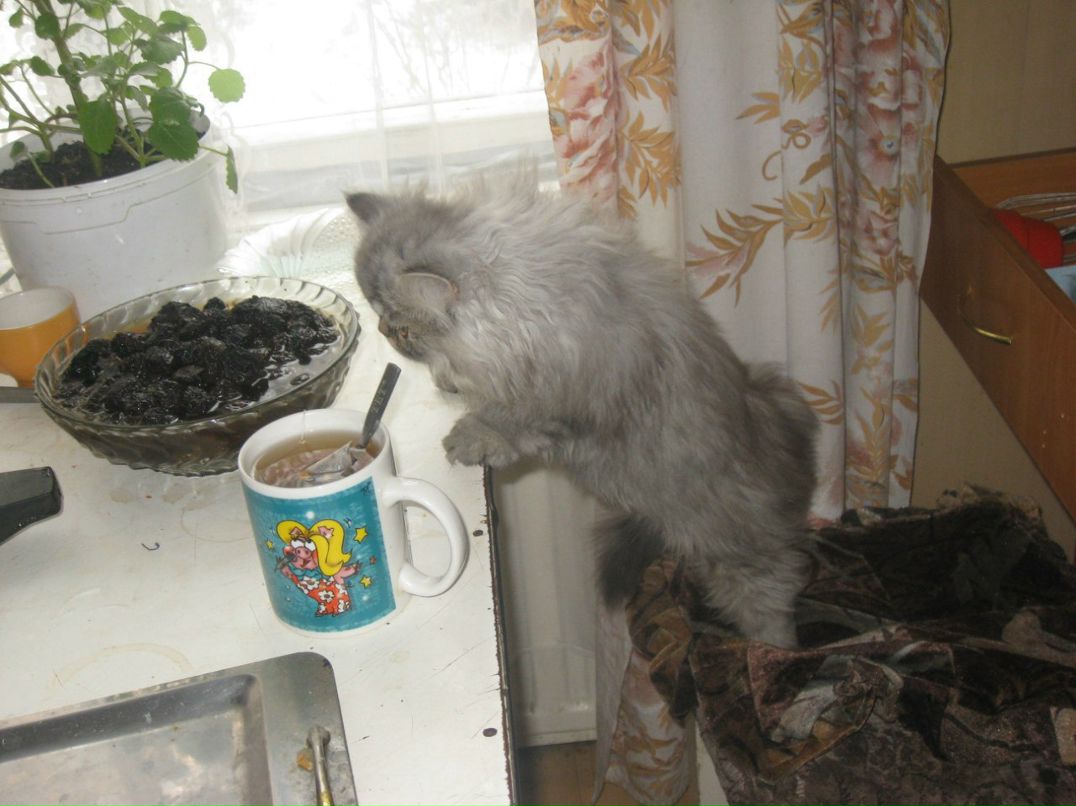 Александр Секисов | Санкт-Петербург