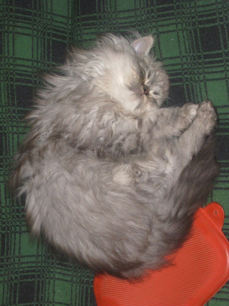 Александр Секисов | Санкт-Петербург