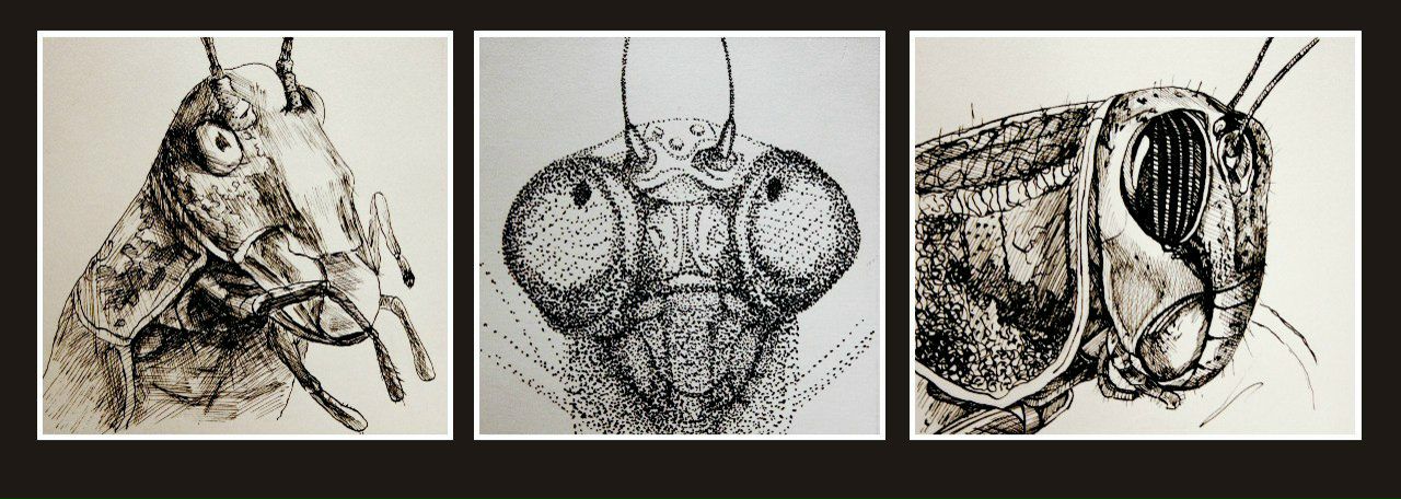 Анна Жовнер | Рязань