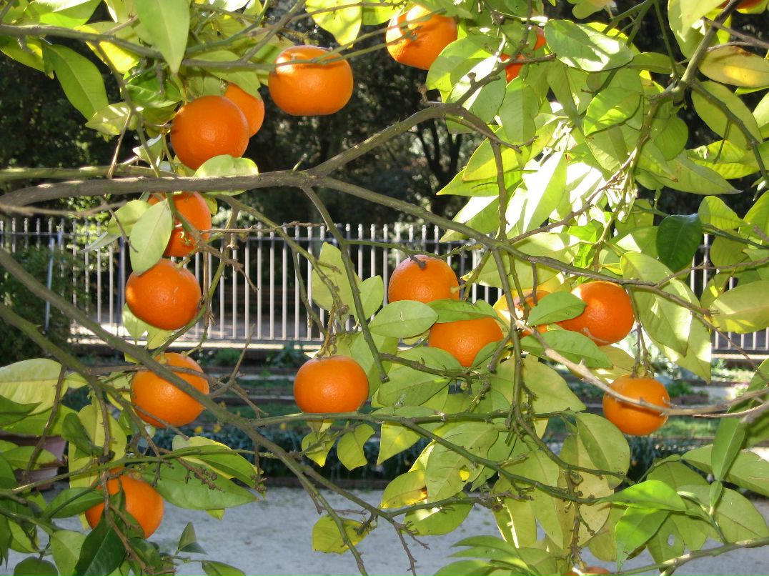 Юлия Рощина Mishina | Санкт-Петербург