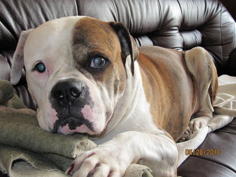 Анна Савина | Москва