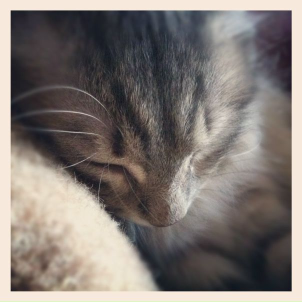 №37, Анастасия Ракунская, München №37, Анастасия Ракунская, München