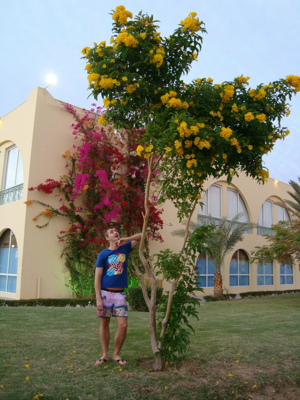 Сергей Павлов | Санкт-Петербург