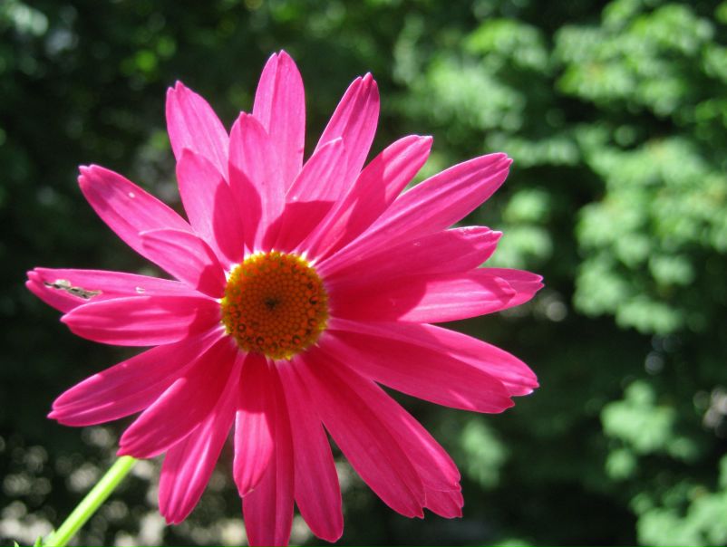 №126, Зоряна Івашкевич, Луцк №126, Зоряна Івашкевич, Луцк