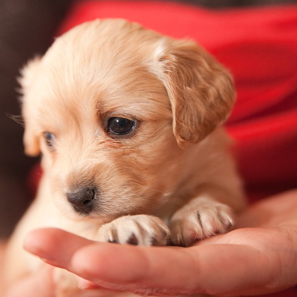 Ирина Биктимерова | Альметьевск