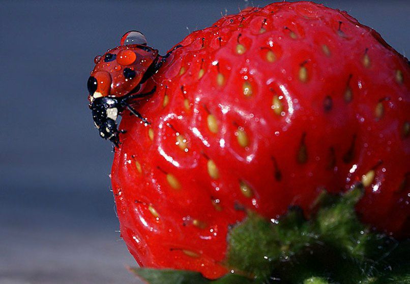 №145, Наташка Чернявская, 39 лет, Одесса №145, Наташка Чернявская, 39 лет, Одесса