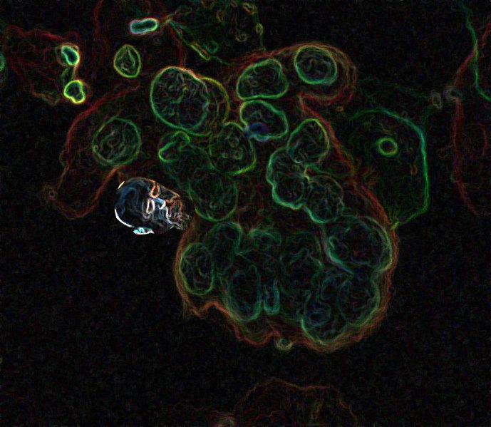 Никита Егоров NekRock | Москва