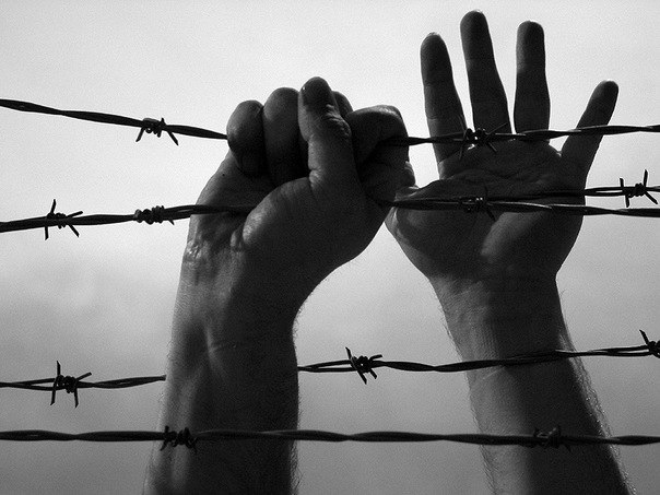 Григорий Павлов | Волхов