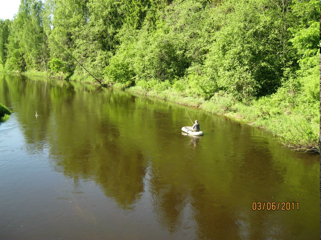 Елена Семянкова | Западная Двина