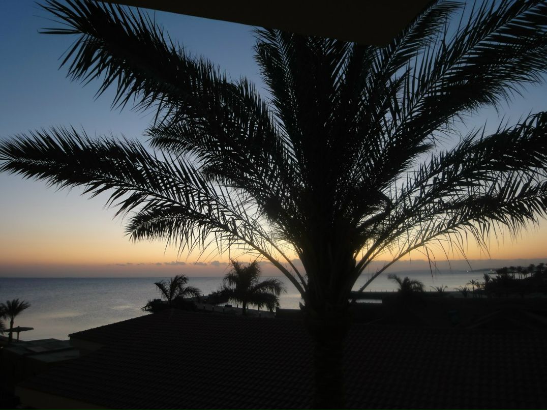 Елена Рубцова | Москва