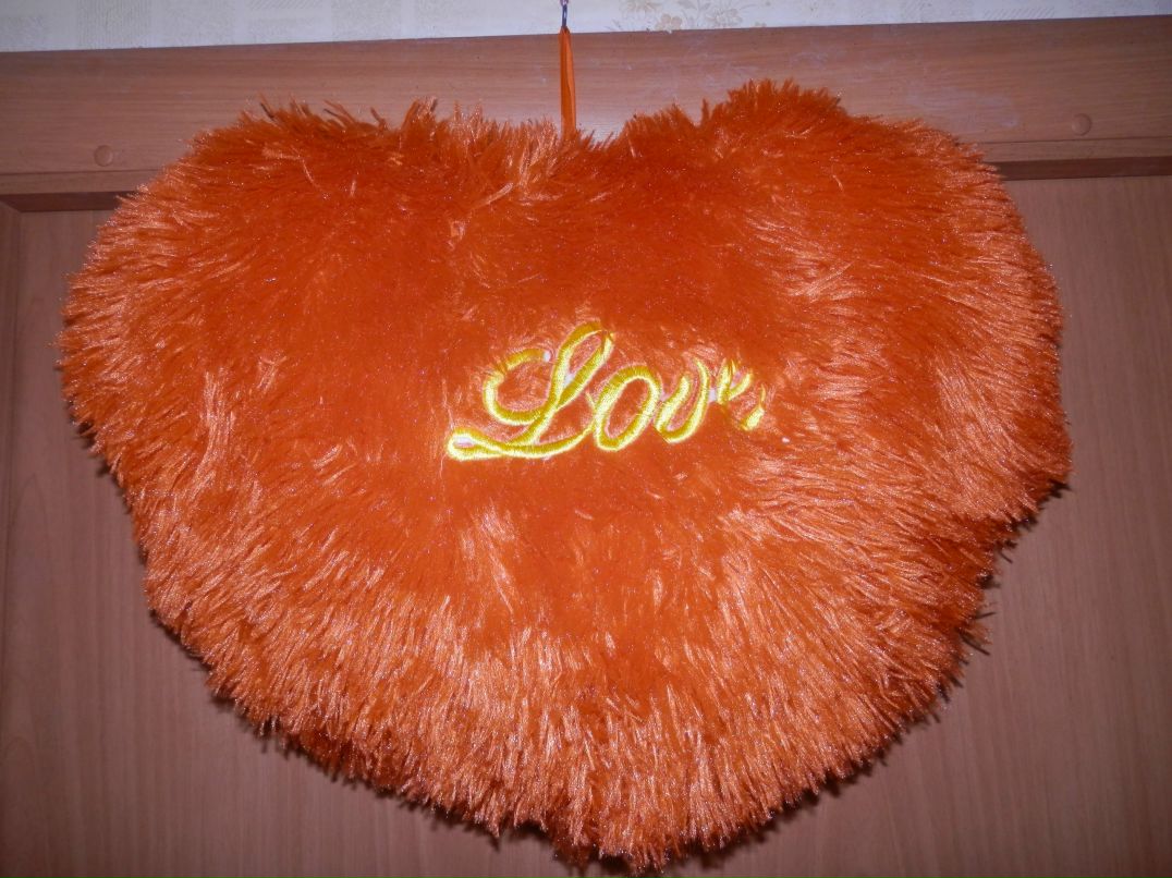 Boss World ptz | Петрозаводск