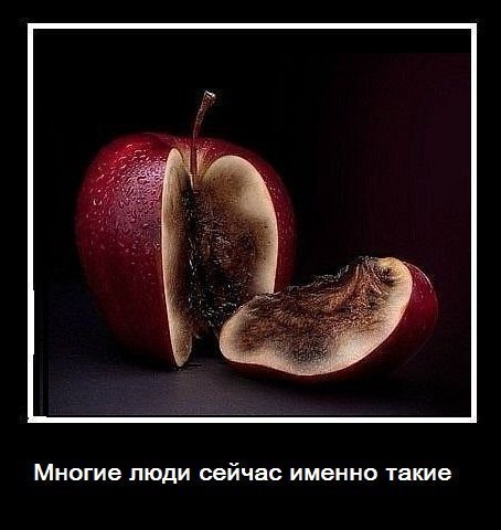 Малина Калинина | 