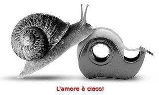 №49, Oleksandr Dzhurko, Симферополь №49, Oleksandr Dzhurko, Симферополь