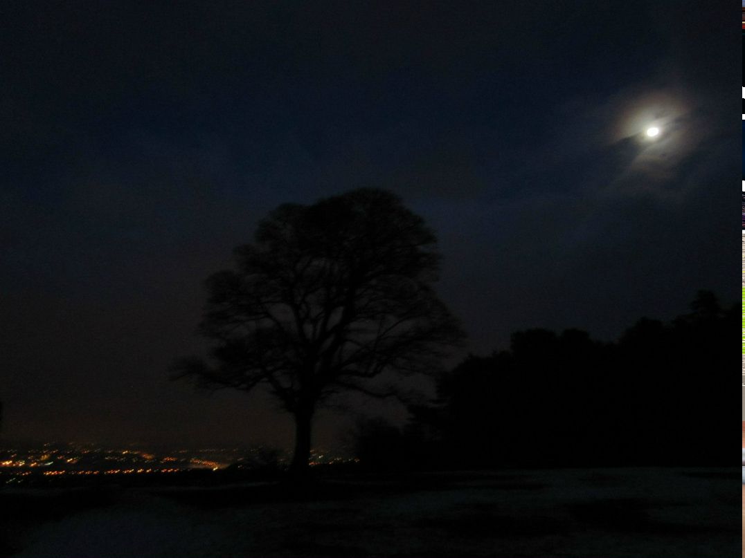 Elisaveta Belova | Birmingham