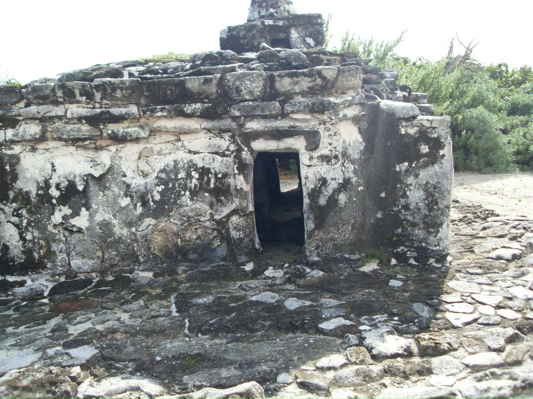 Юлия Шибаева | Санкт-Петербург