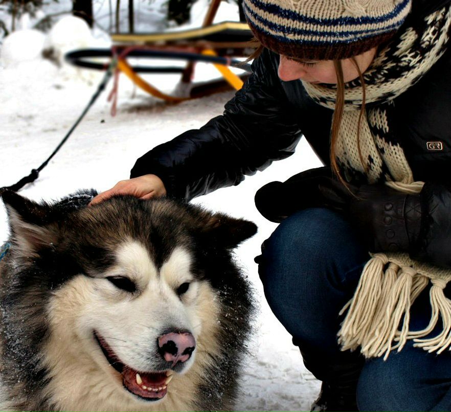 Дашики Bzzzz | 