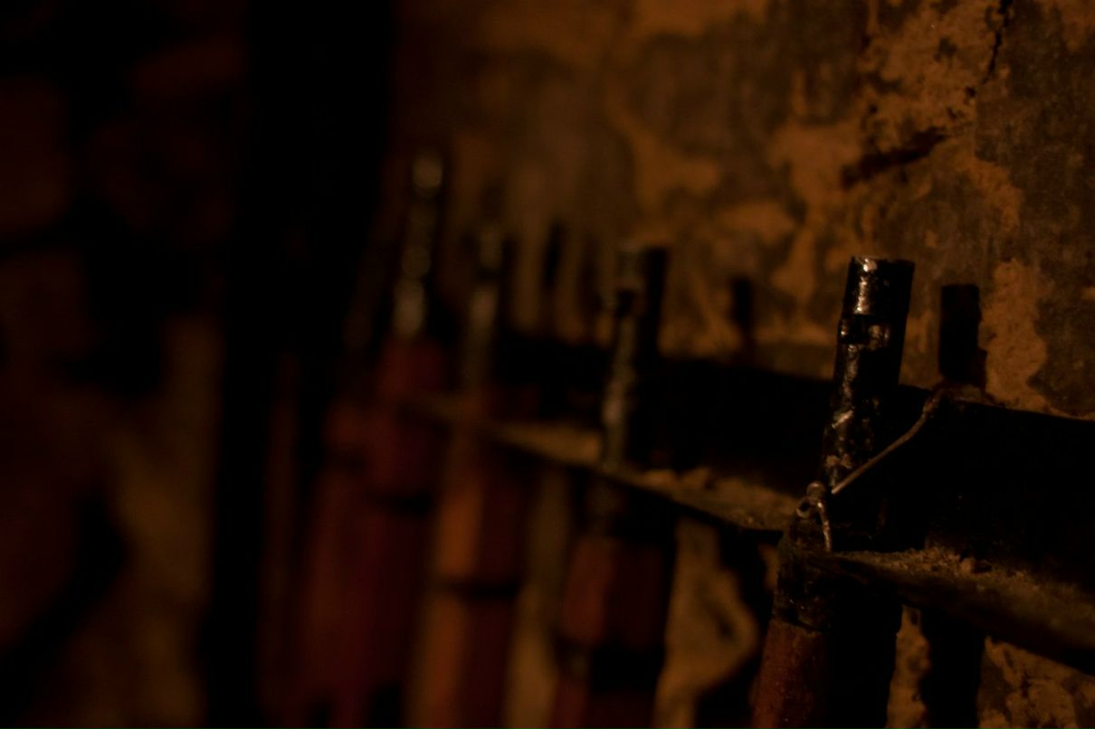 Вячеслав Санковский | Одесса