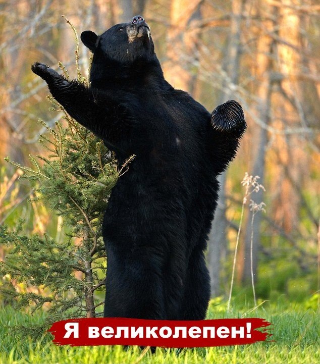 Володимир Ремень Юрійович | Киев