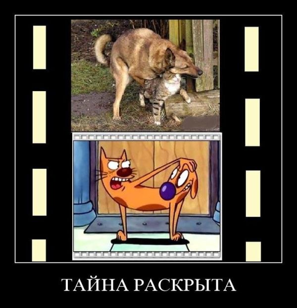 Ильдар Залилов | 