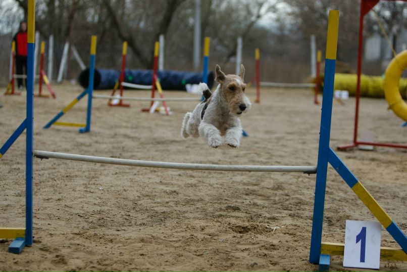 Valeriy Vashchenko | Харьков