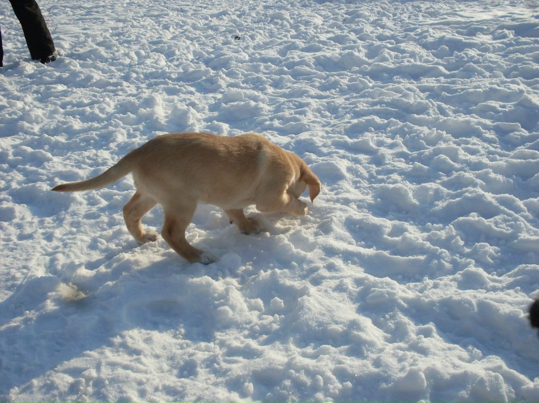 Диана Оренко | Киев