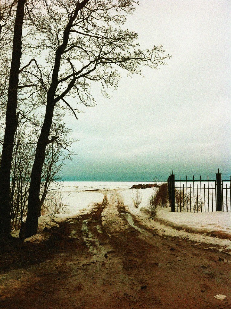 Алина Никулина | Санкт-Петербург