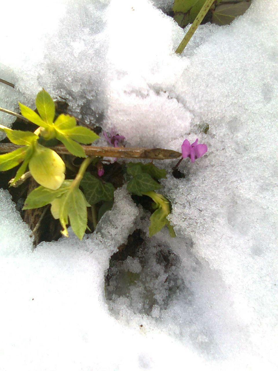 Сергей Кегич Вадимович | 