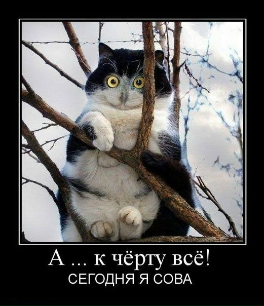 №6, Сергей Нощенко, Луганск №6, Сергей Нощенко, Луганск