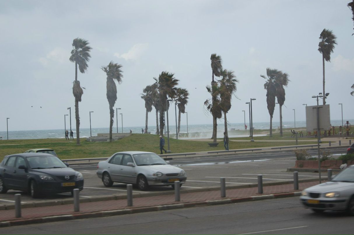 Александр Лейкам | Красноярск