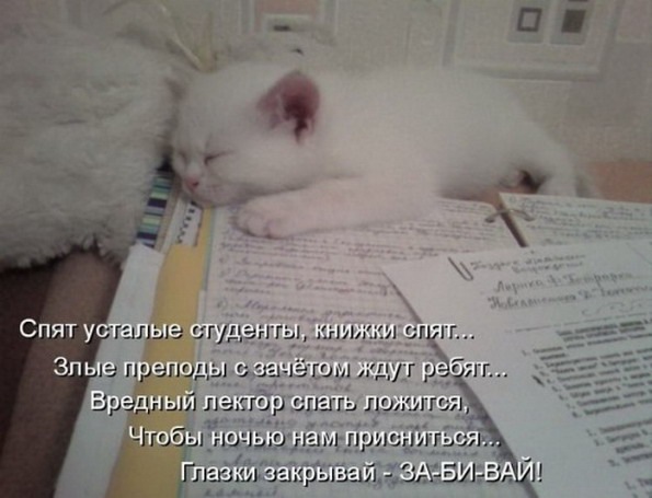 №16, Светлана Савинова, Михайловка №16, Светлана Савинова, Михайловка