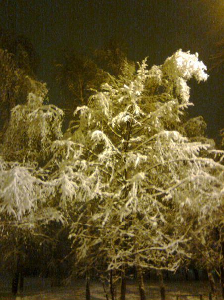 №130, Диана Тухватуллина, Казань, Россия №130, Диана Тухватуллина, Казань, Россия