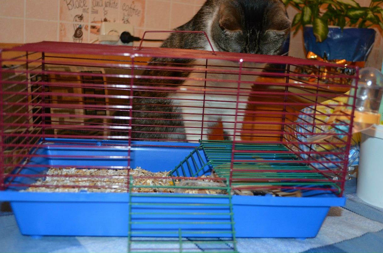 Любовь Лой ☼Слоечка^^☼ | Балахна