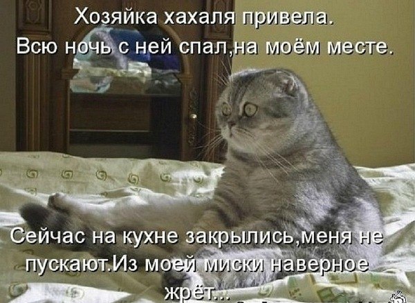 Наталья Филиппова | Вахрушево