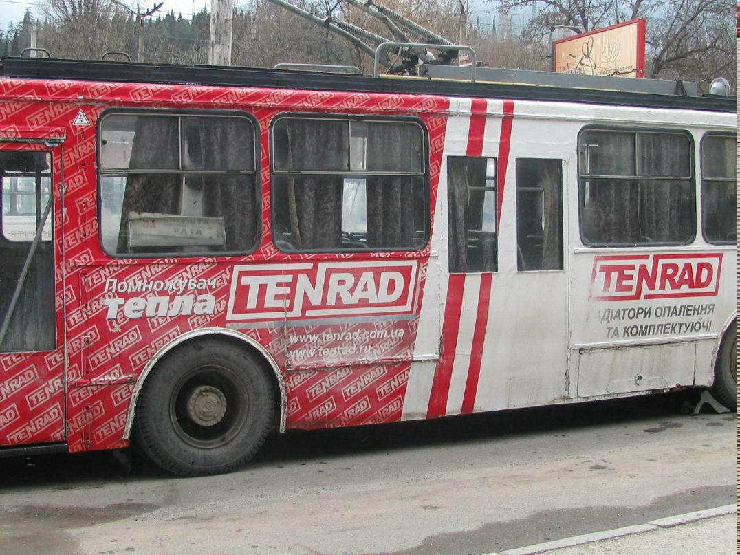 Миша Шорин | Николаев