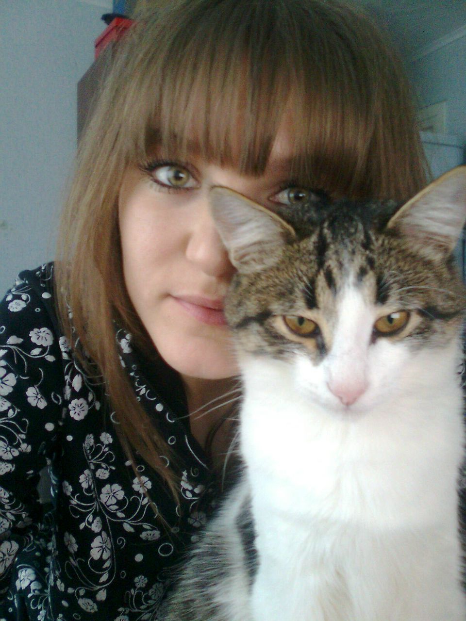 Евгений Гнутов | Димитровград