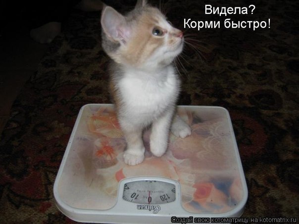 Юра Щутяк | Львов