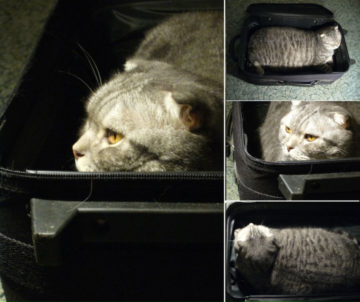 №114, Наталья, Москва №114, Наталья, Москва