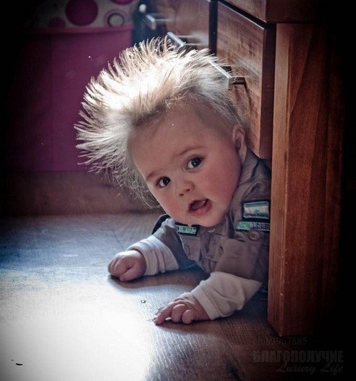 Олександр Гвоздик | Луцк